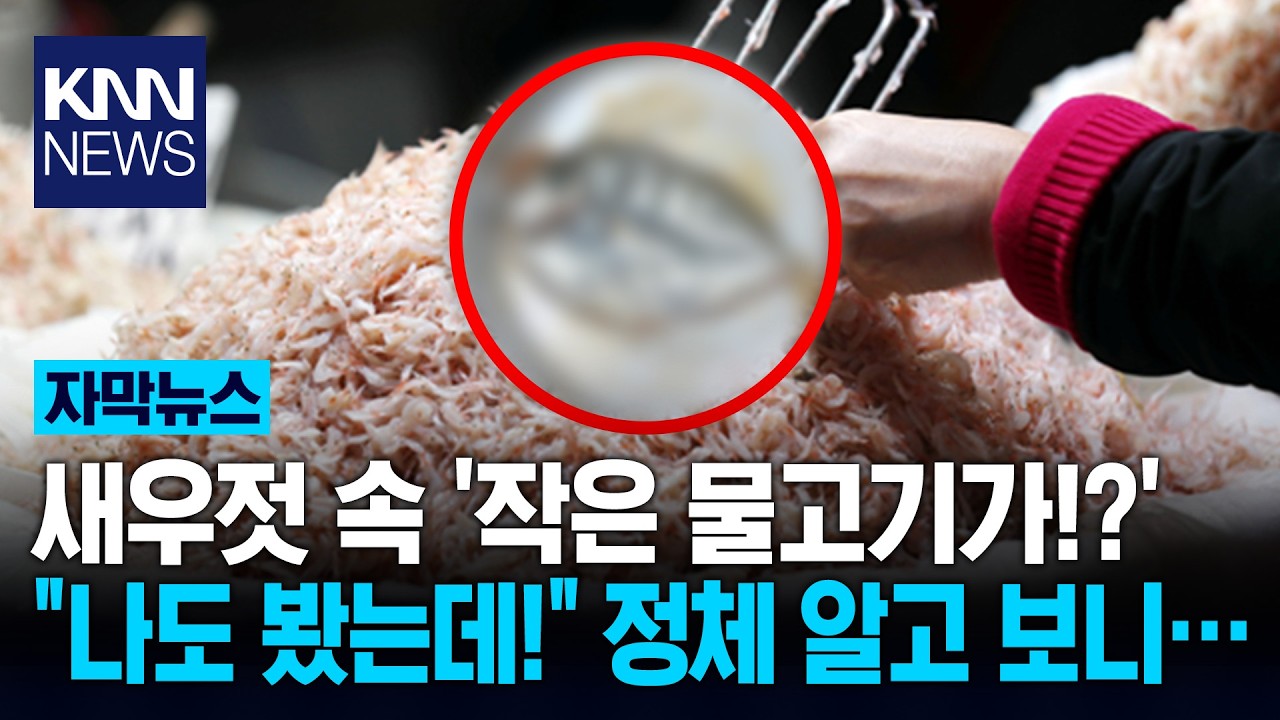 족발 먹다 나온 '이것'에 경악 새우젓 속 정체불명의 물체는? / KNN