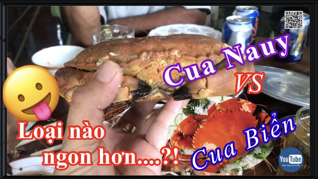 Thưởng thức cua n&acirc;u Nauy v&agrave; cua Biển, loại n&agrave;o ngon hơn?! | @nhipsongsaigonchannel
