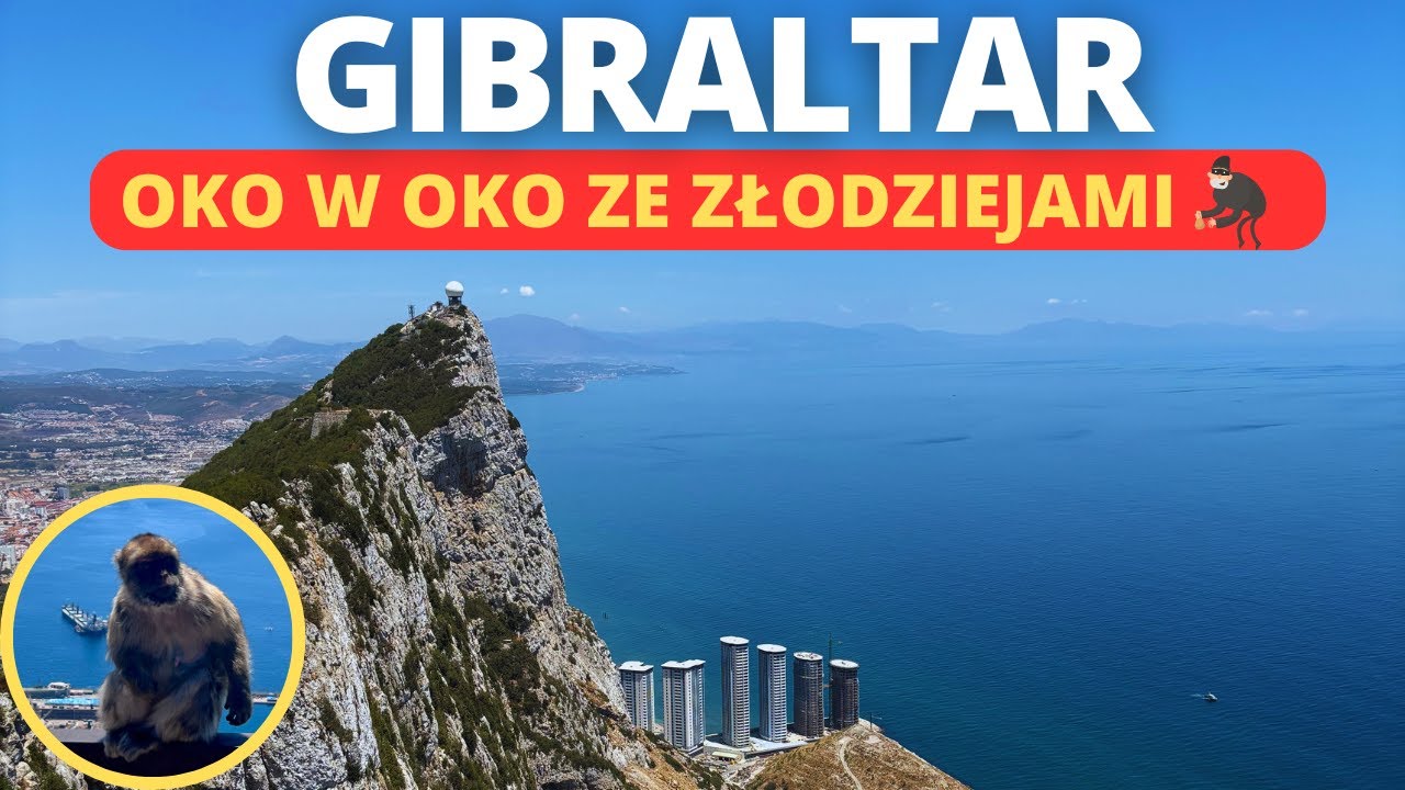 Gibraltar w 1 dzień. Zwiedzenie gibraltarskiej skały. Piękne widoki i bliskie spotkania z magotami.