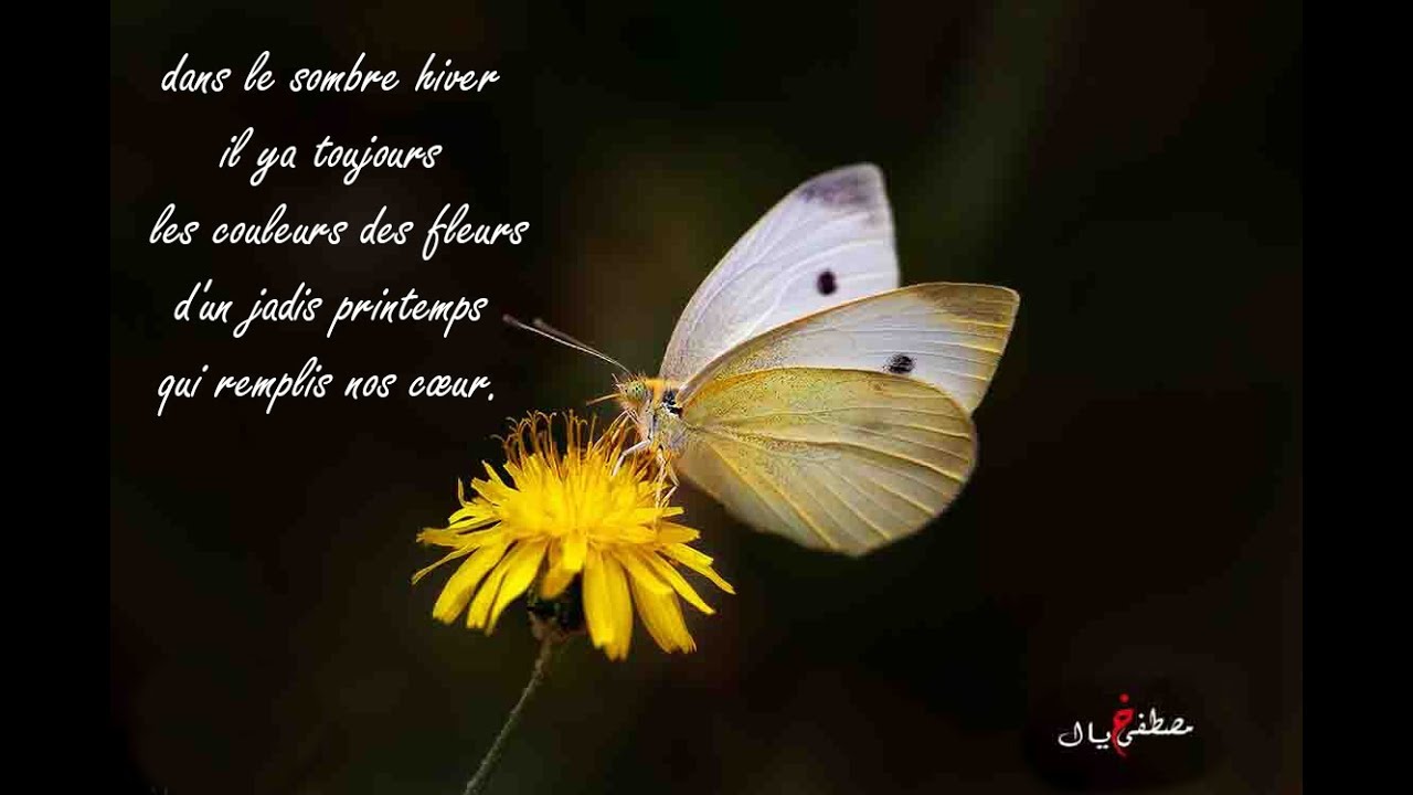 couleurs de printemps en hiver