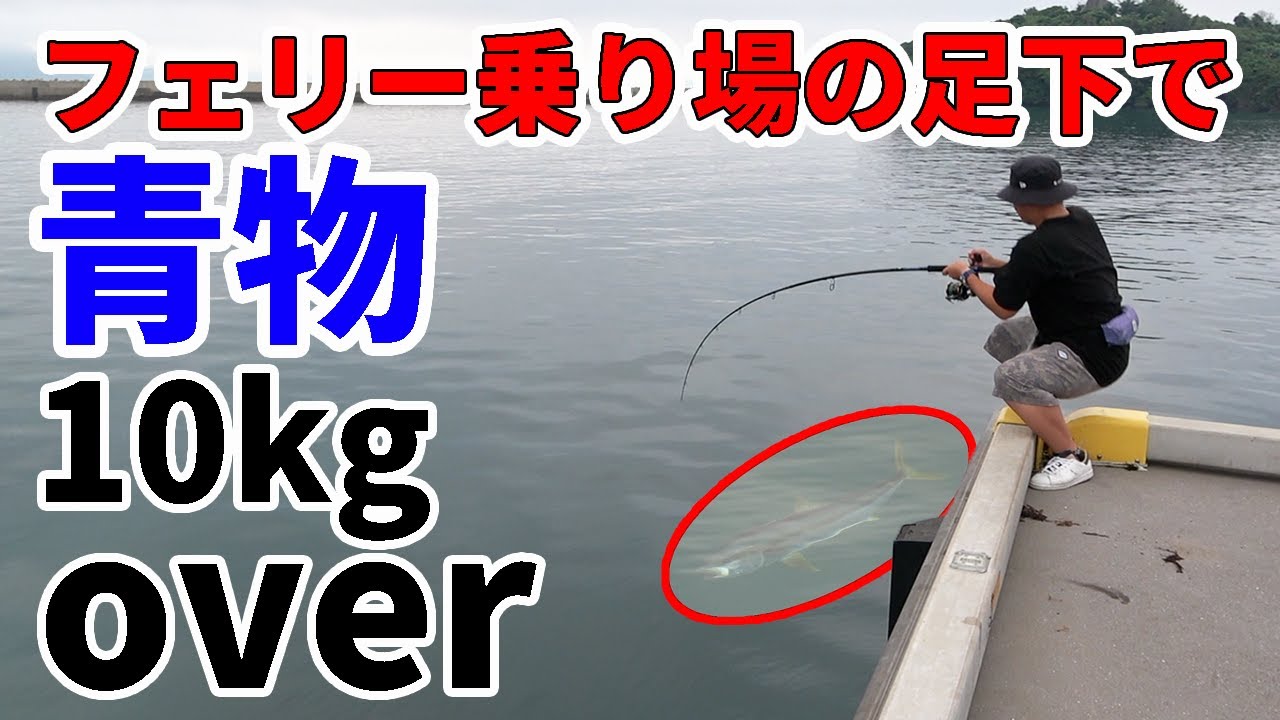 【伝説の離島＃３】こんな所で！？フェリー乗り場の足下で釣りよかの１０年越しの夢が叶いました！！