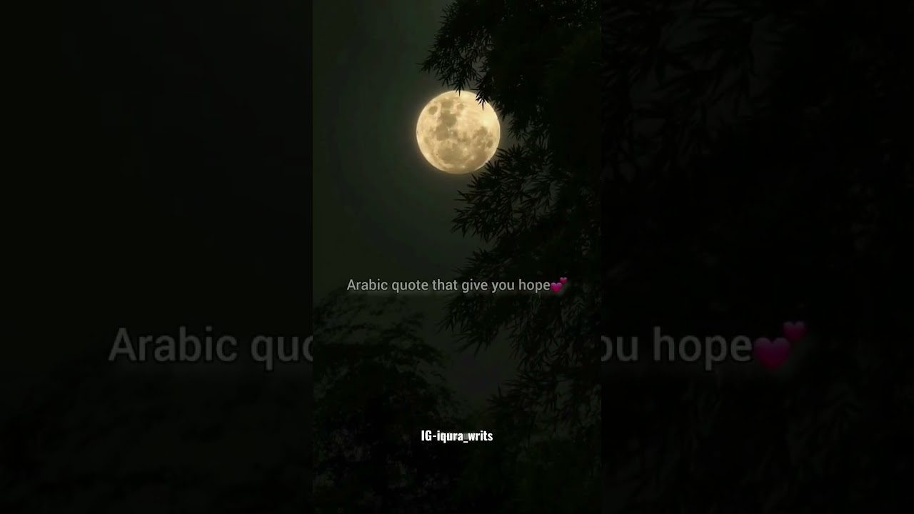 Islamic whatsapp status quotes,#arabic #aestheticstatus #quotesaboutlife #quran #islamicquotes #like