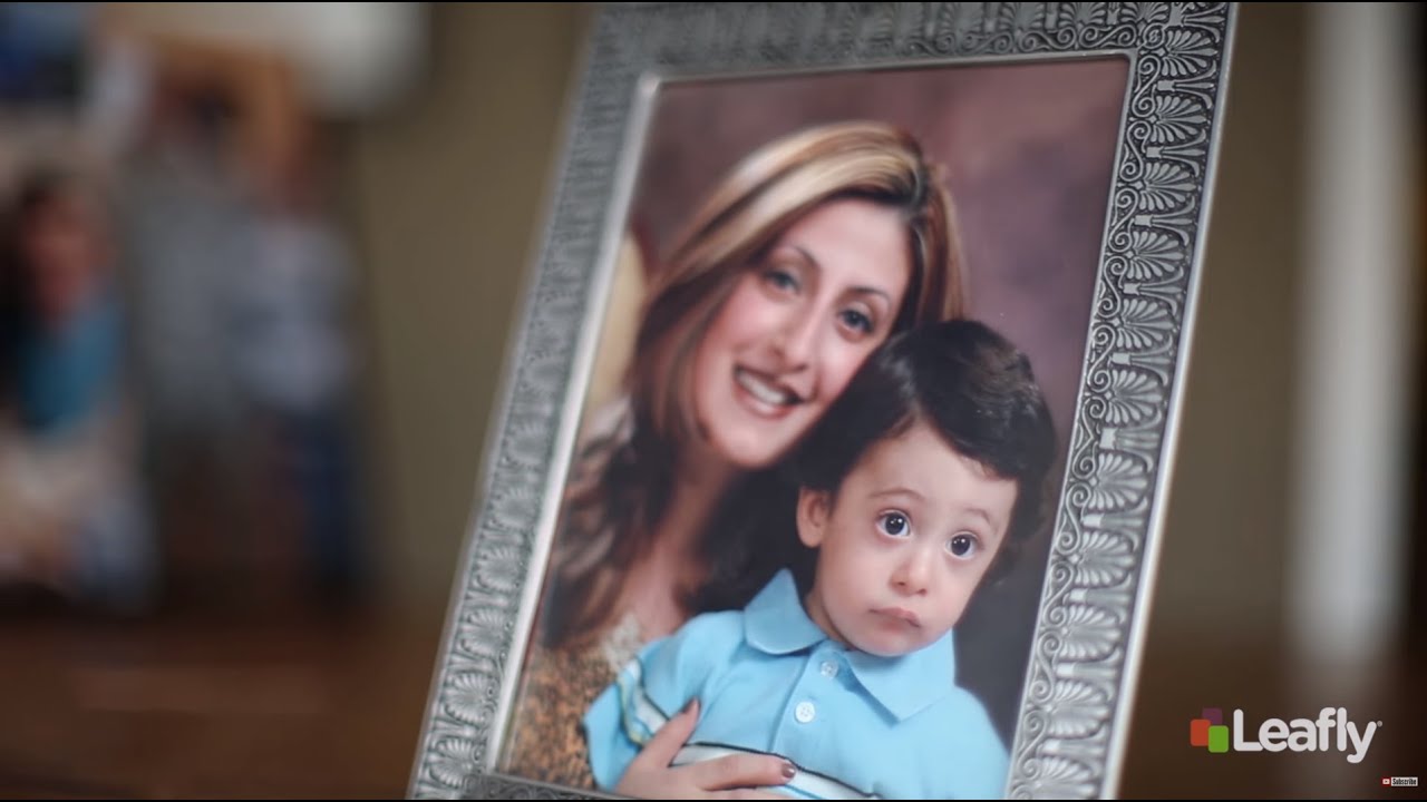 Renee Petro: What's Your Reason for Cannabis Legalization