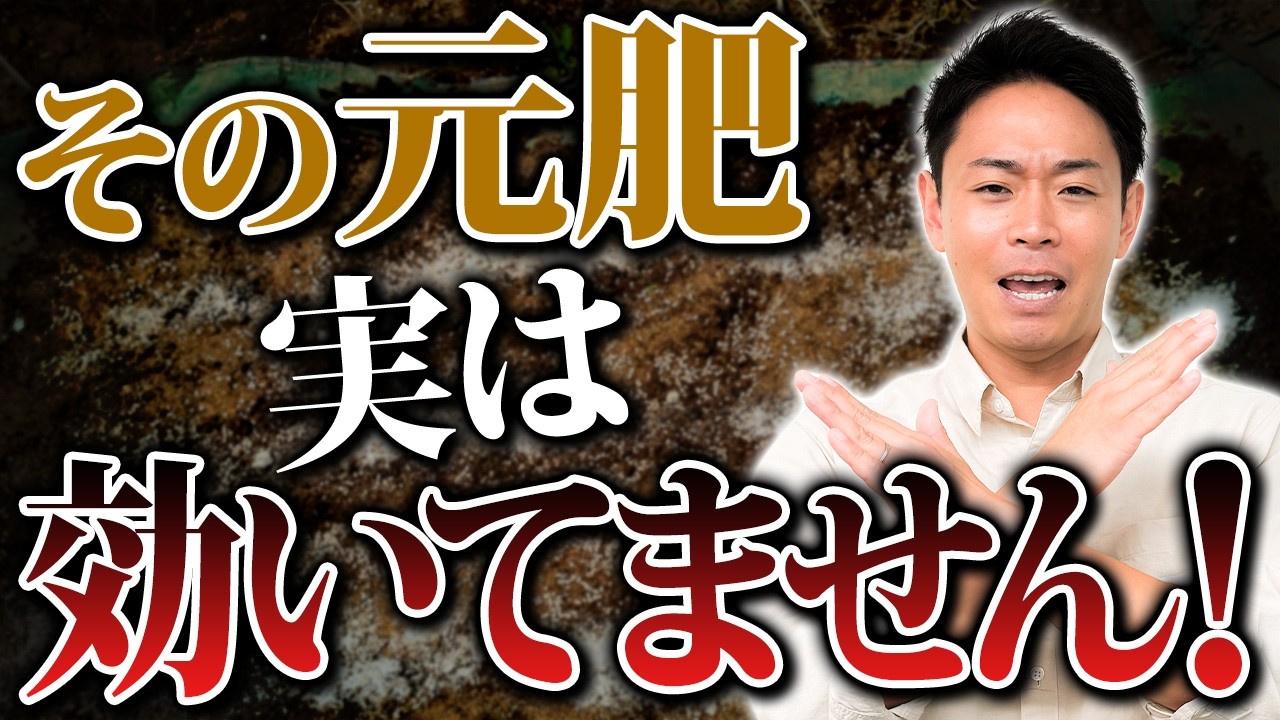 元肥は単純に入れ込めば良いって訳ではないんです、、、やっぱりコレが出来上がっていないと全てが無駄になります【家庭菜園 土づくり ガーデニング 元肥】