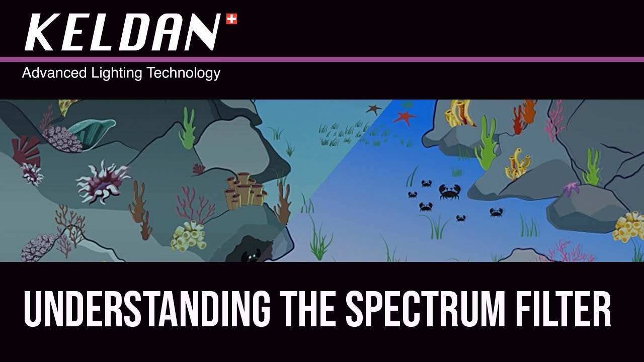 Keldan Spectrum Filter Tutorial