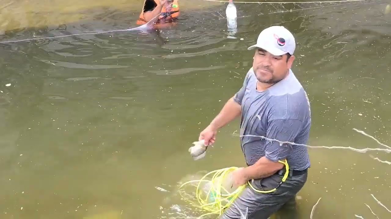 Nos fuimos todo el rio y les llegamos a las tilapias grande