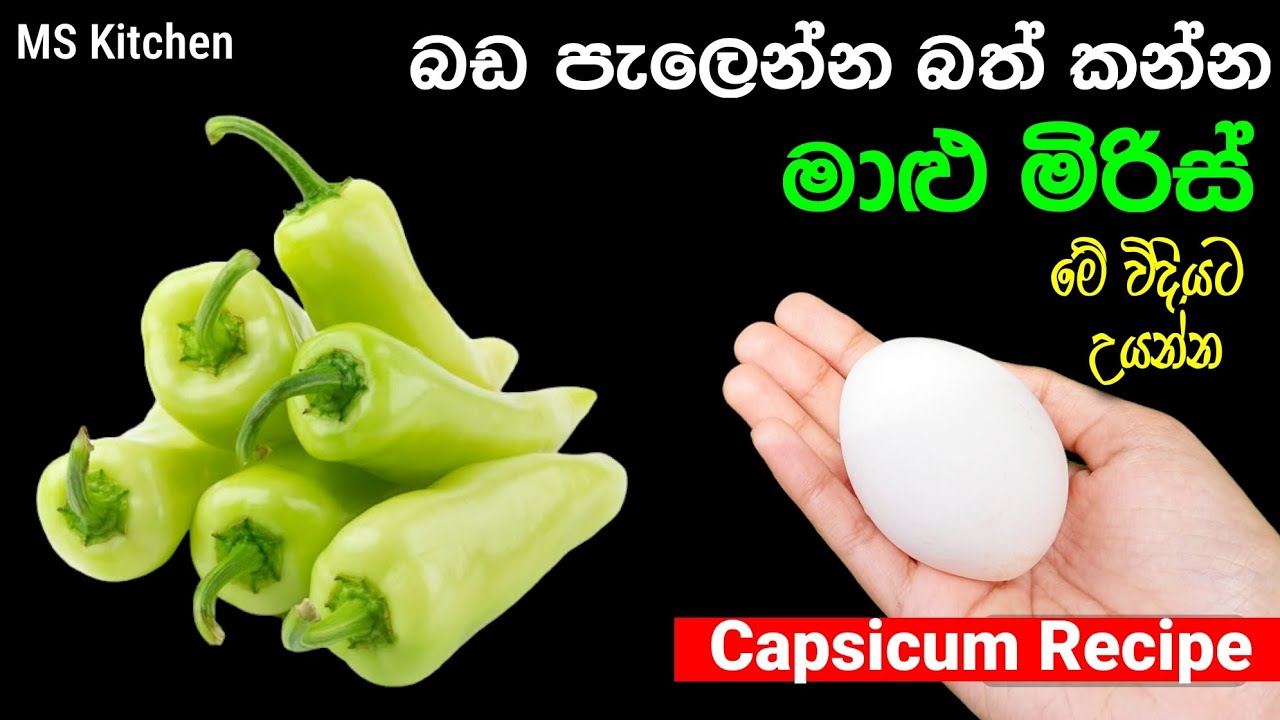 බඩ පැලෙන්න බත් කන්න මාළු මිරිස් මෙහෙම හදන්න | Malu Miris | Capsicum Recipe | @mskitchen3708