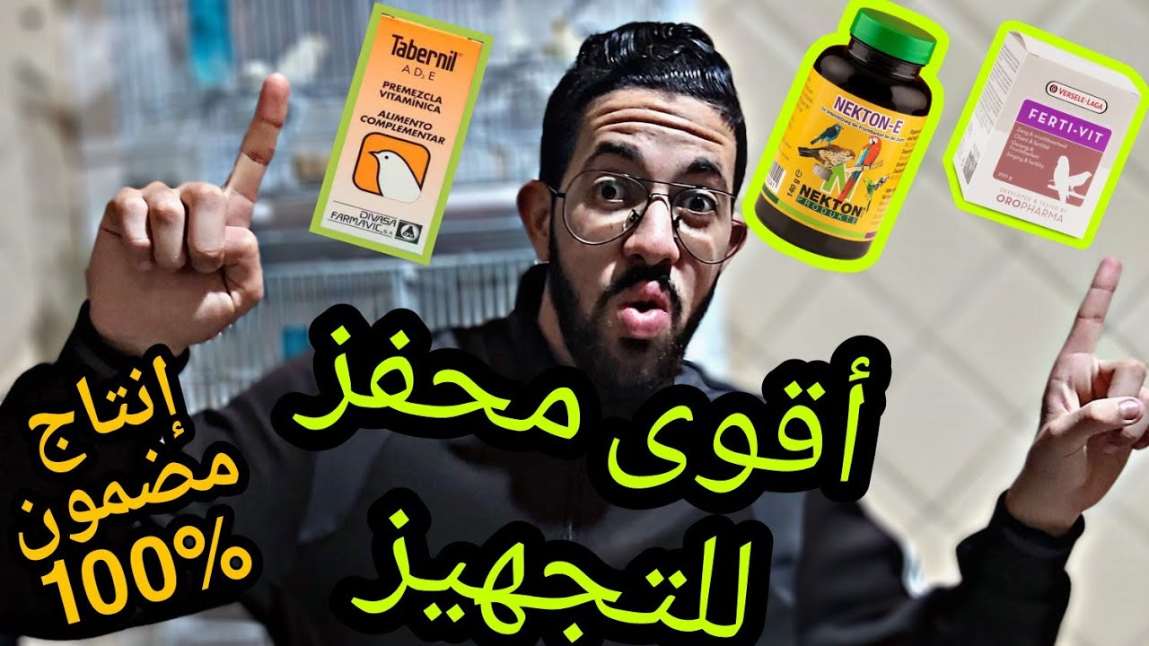 أفضل محفز للطيور😯🔥،إنتاج مضمون إن شاء الله🙏💚،أجي تشوف بالدليل😍👌