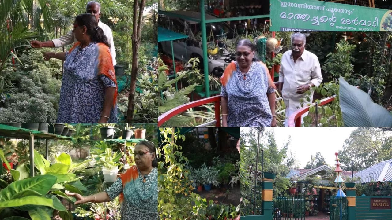 വീട്ടുമുറ്റം നിറയെ പൂക്കളും ചെടികളും! മാത്തച്ചന്റെ ചേട്ടന്റെ മലർവാടിയിൽ ഇല്ലാത്തതായി ഒന്നുമില്ല..