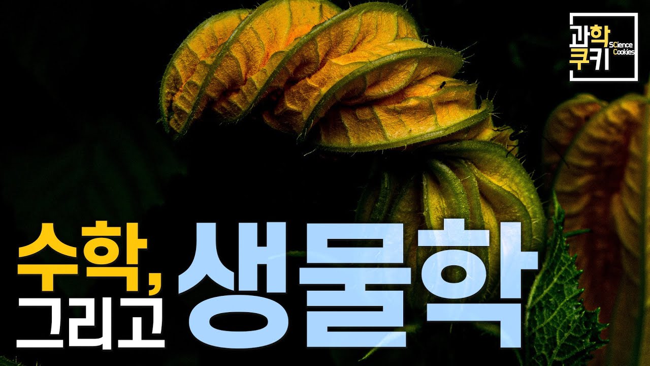 논리의 결정체, '수학'으로 '생물'을 연구한다는 것은 무엇을 의미하는걸까?