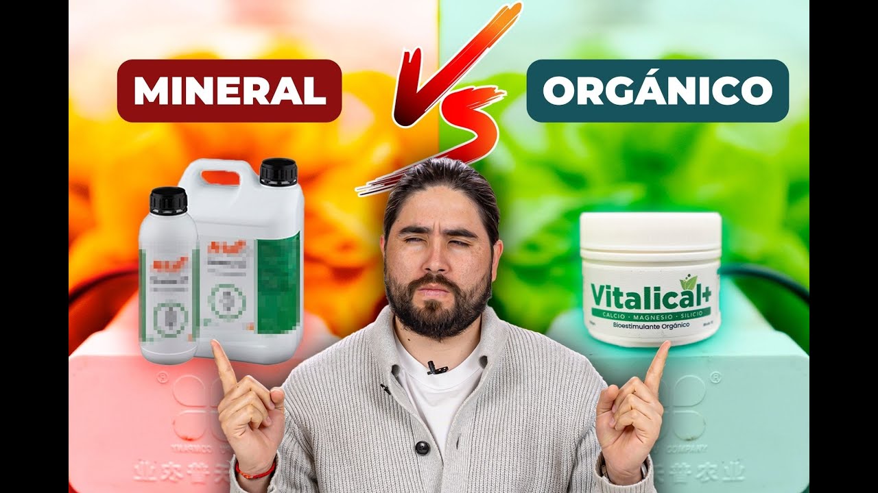ORGANICO VS MINERAL &iquest;CU&Aacute;L ES MEJOR?