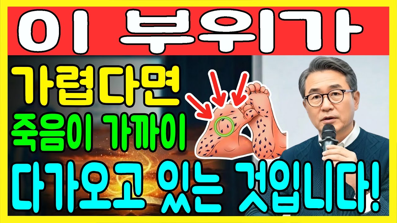 가려움에서 죽음이 찾아옵니다! 이 3곳이 가렵다면 당신의 신장 수명은 짧아질 것입니다｜가려움｜위험한 3가지 가려운 부위ㅣ노후건강｜삶의지혜｜오디오북