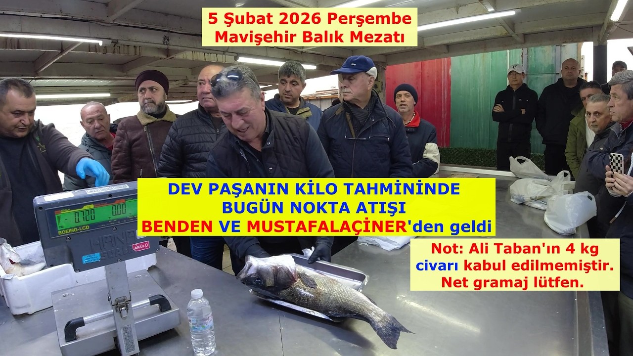 MAVİŞEHİR MEZATIN GÜZELİ 4 KİLOLUK DEV PAŞAYDI. 5 Şubat 2026 Perşembe.