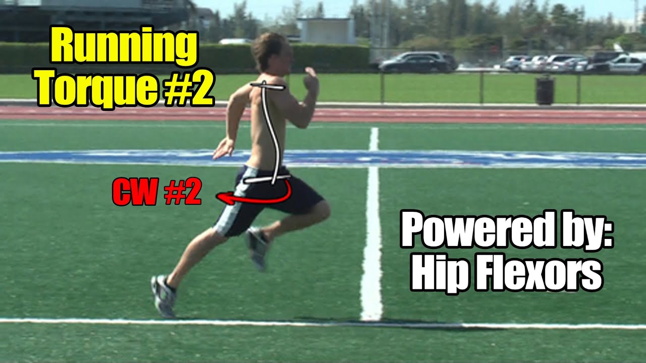 Running Speed Torque #2 - Powered by Hip Flexor Muscles - Thigh Flexors to Help You Run Faster