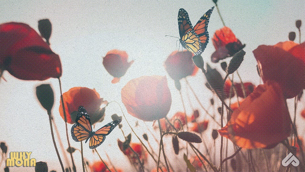 Why Mona & Unlike Pluto - Rewind