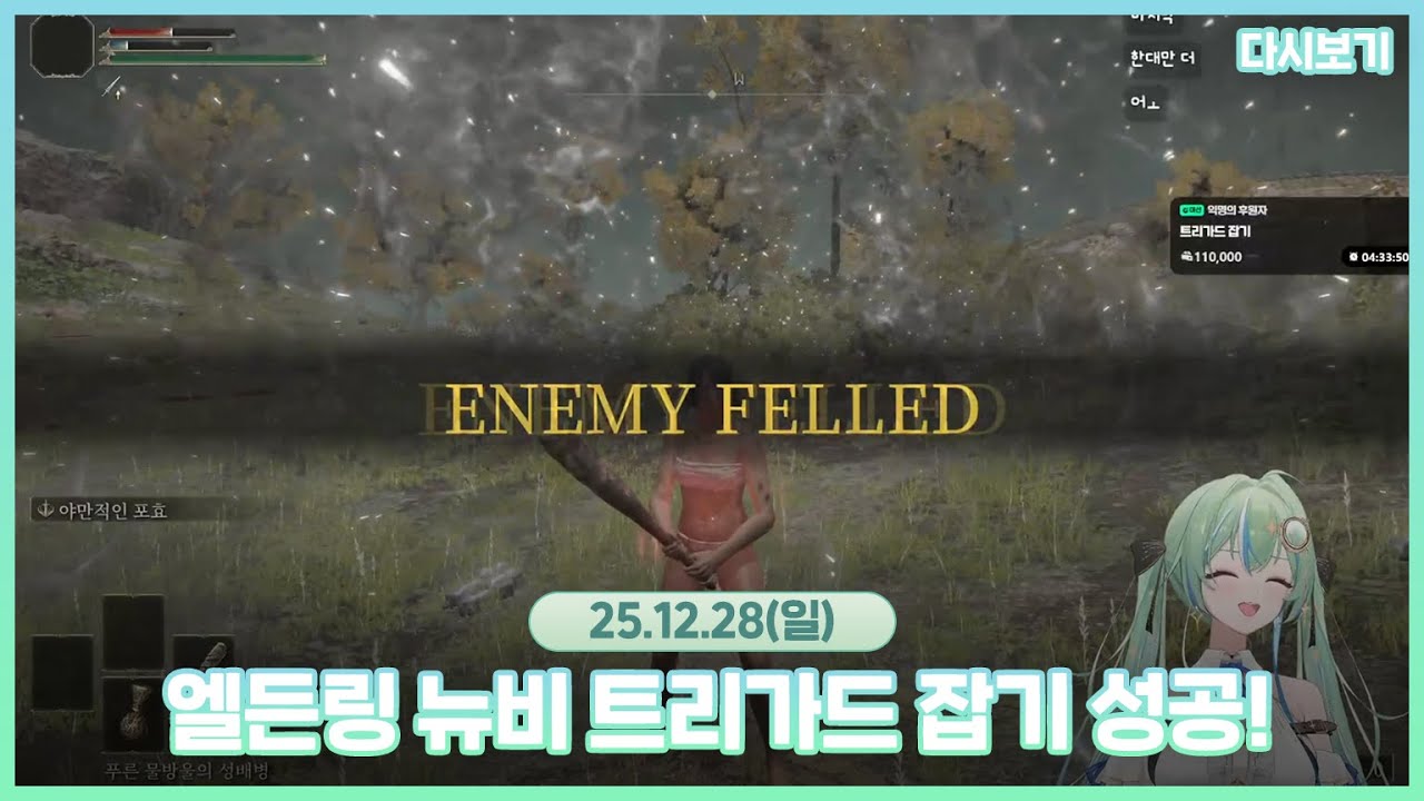 2025.12.28 엘든링 뉴비 트리가드 잡기 성공!✨ 💚