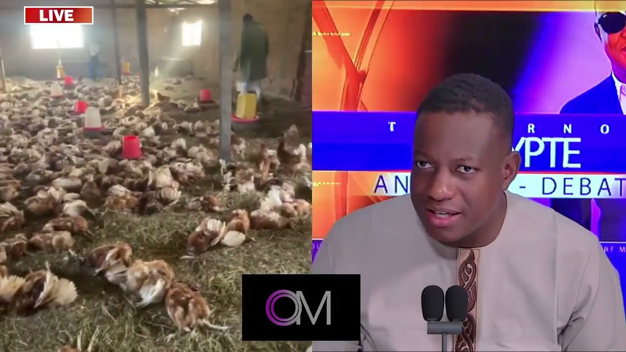 OM TV :#URGENT: Mamadou Hawa Gassama condamné à 3 ans de prison ferme et une amende de 5 millions.