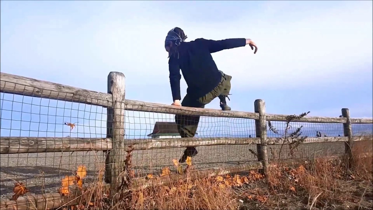 A Beginner's Guide to Vaulting (from the ground up)