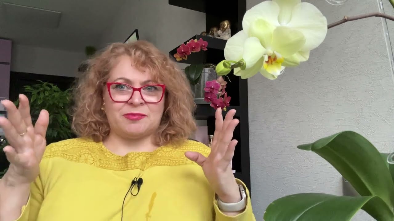 Оздоровлення, подорож та мої трансформації #україна  #подорож #здоров'я #детокс
