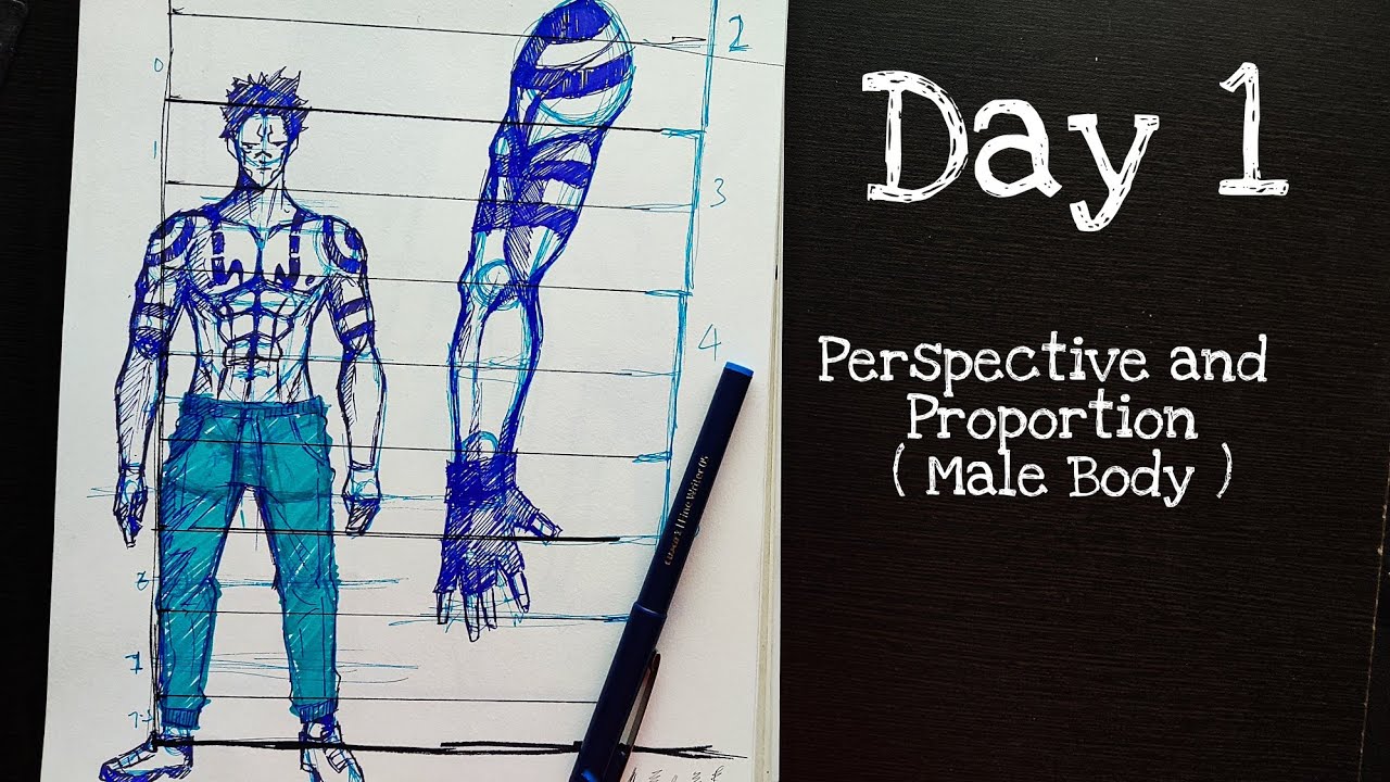 Day 1 Learning Proportion and Perspective : Male Body