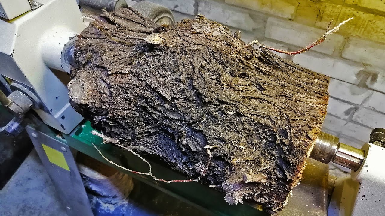 Woodturning - a Old Thuja