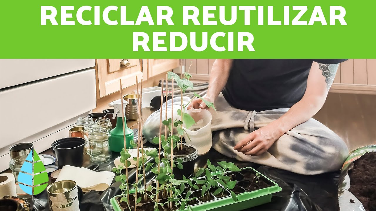 Las 3 R de la Ecología ♻️ RECICLAR, REUTILIZAR y REDUCIR