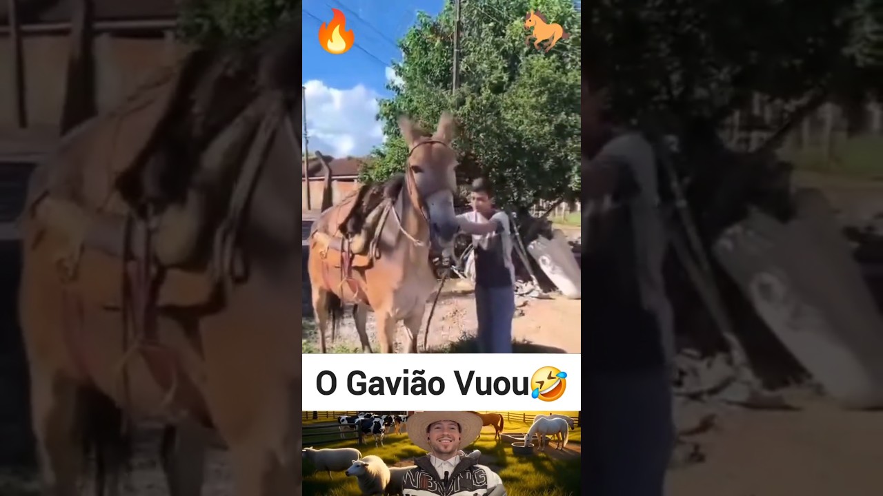 Pe&atilde;o Afobado🤠🐎🔥#ro&ccedil;a