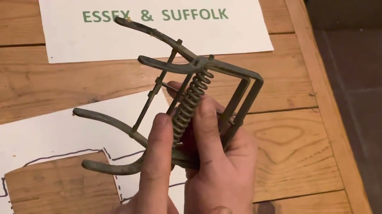 Setting a Talpex Mole Trap