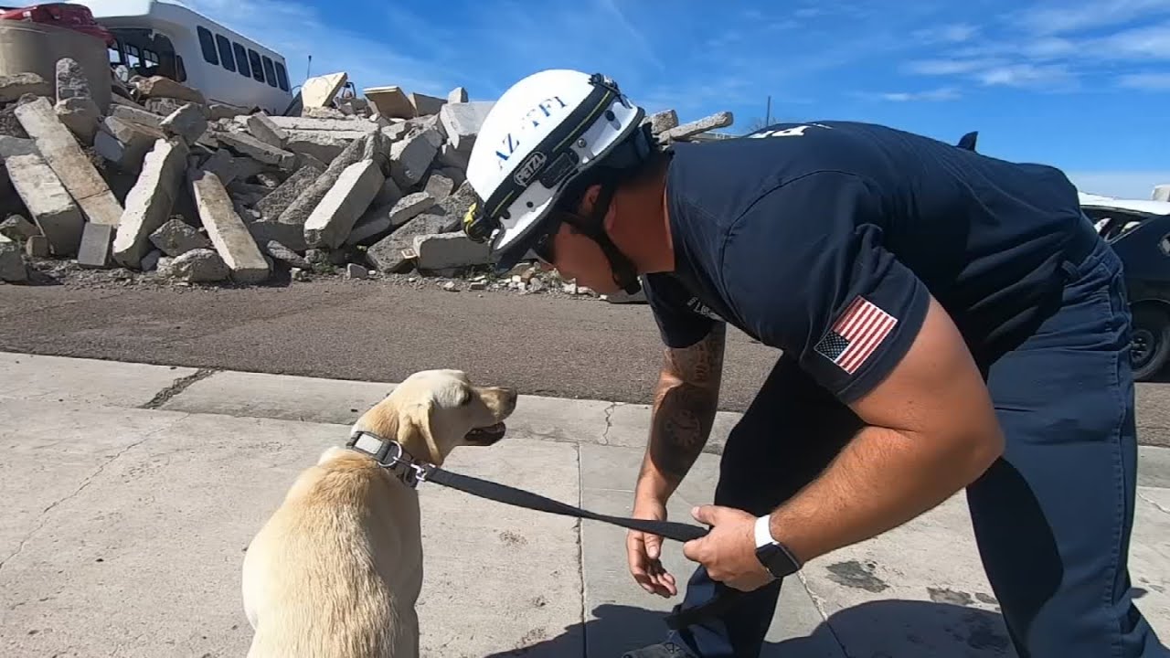 Arizona search and rescue dogs train for FEMA certification