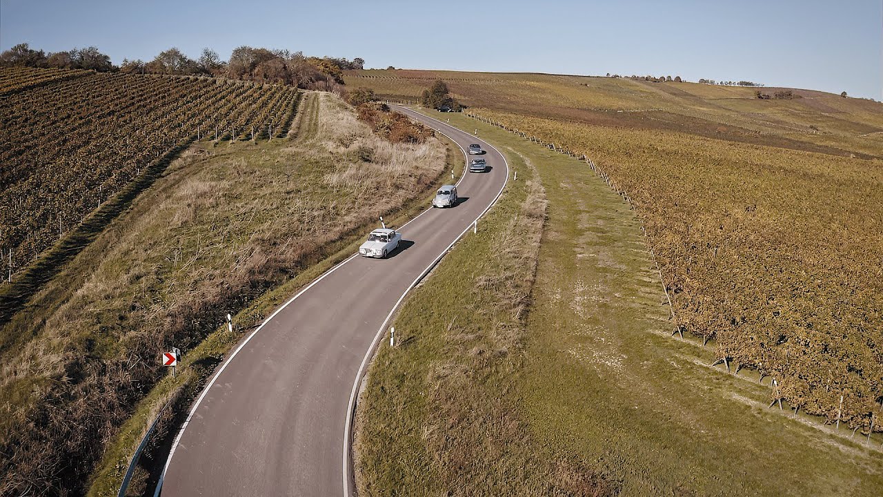 Mainzer Kultouren - Best Of Wine Tourism-Award 2023