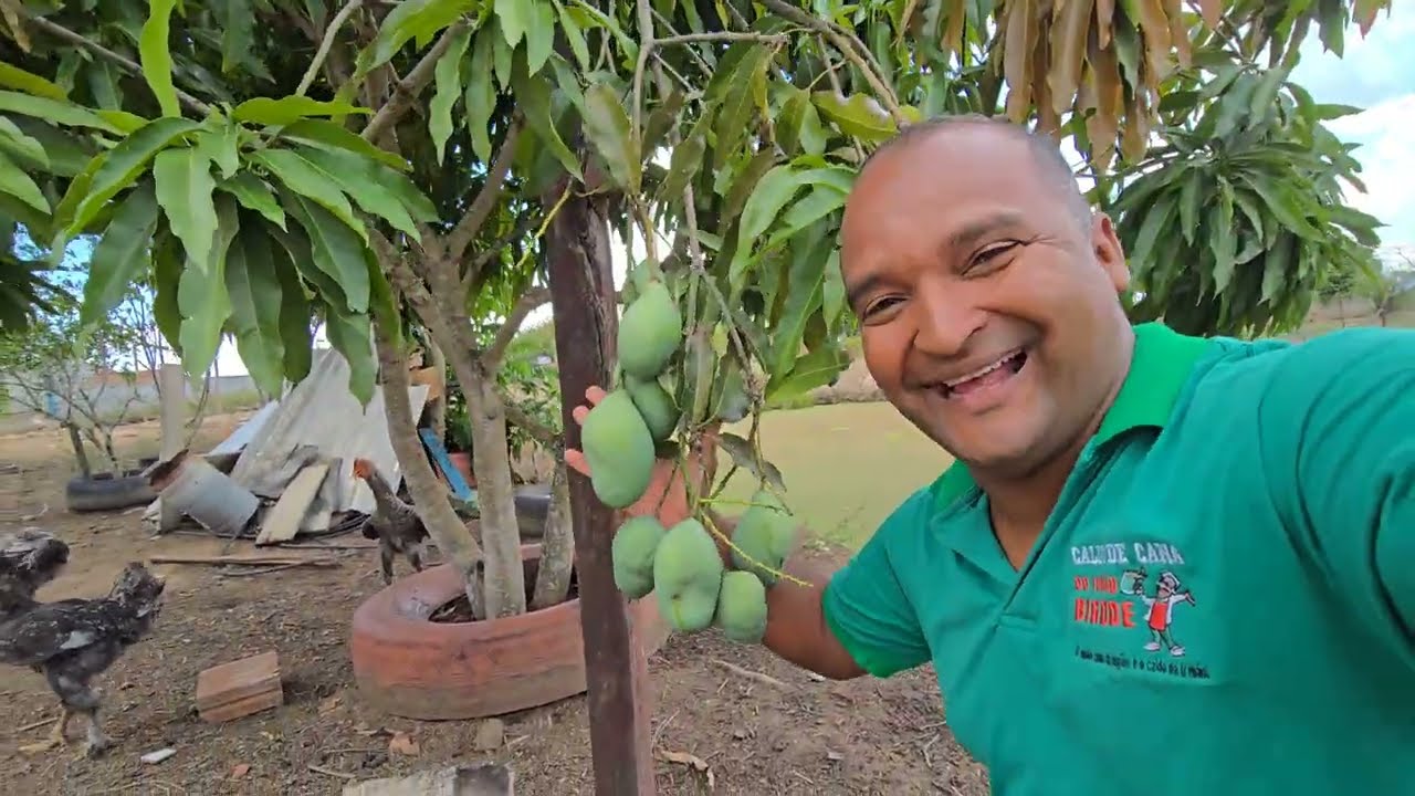 FARTURA NO SÍTIO PRODUTIVO DE SEU AILTON ISSO É A FELICIDADE DE QUEM VIVE NO INTERIOR