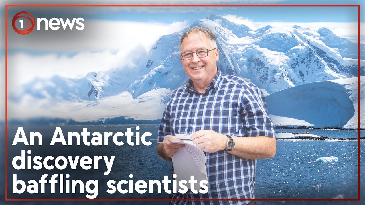 How did this Wellington swipe card end up in Antarctica? | 1News