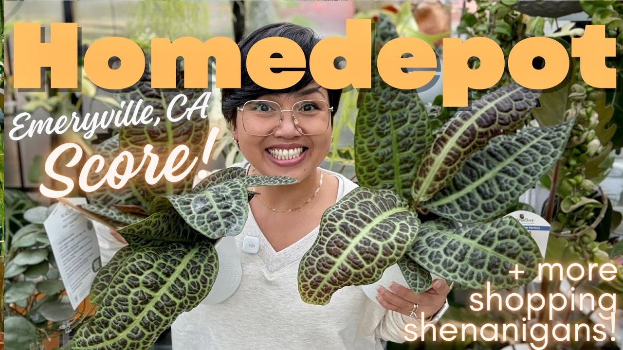 I Found INSANE Plants at Home Depot! 🌿🤯 (Emeryville + San Carlos Plant Hunt)