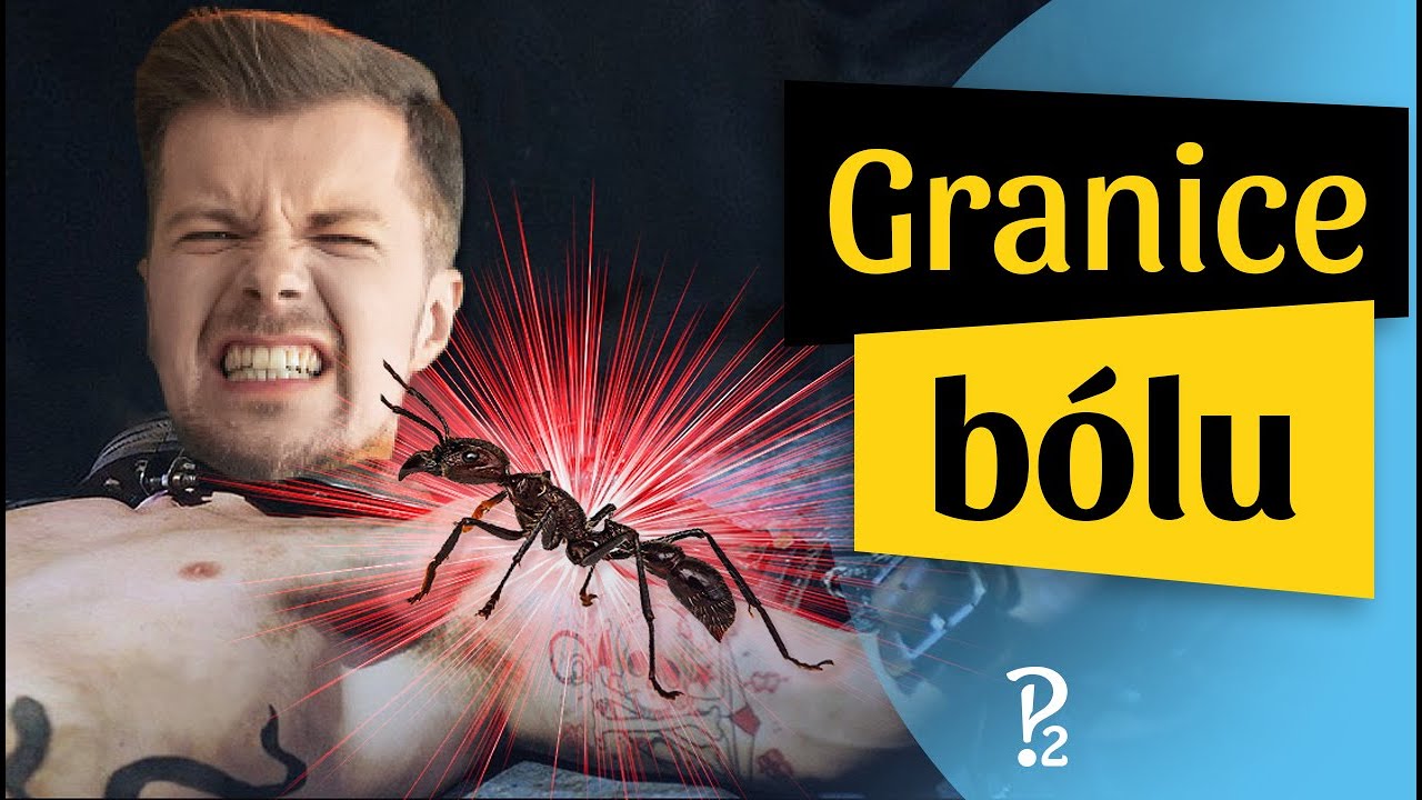 Jaki jest NAJGORSZY BÓL na świecie?