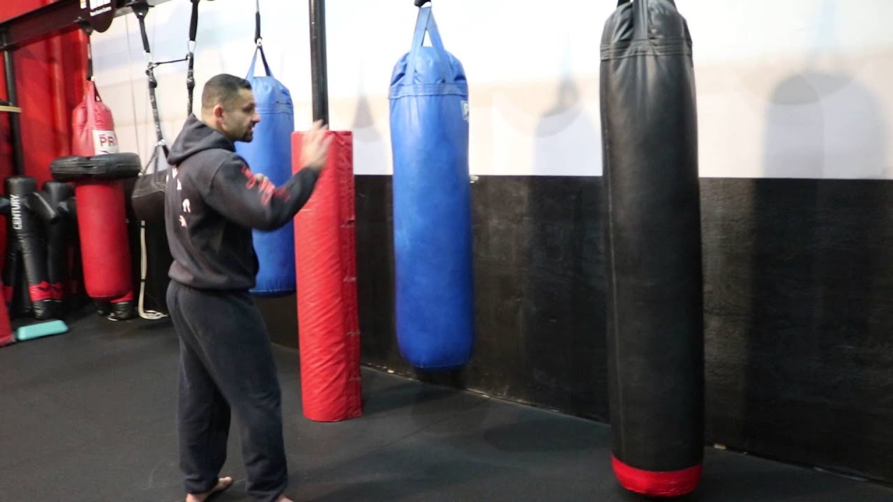 Shervin Ilbeig from Dragons Martial Arts in West Hills, CA teaches the 