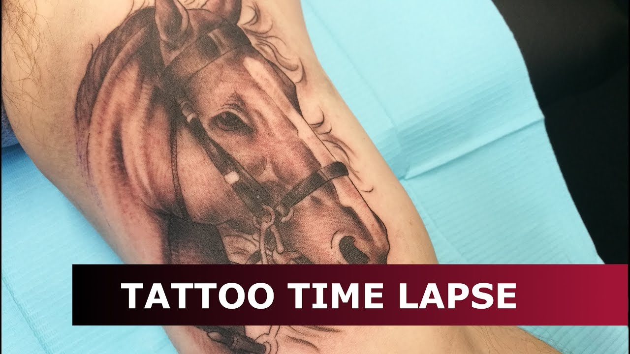 Tattoo Time Lapse - Horse