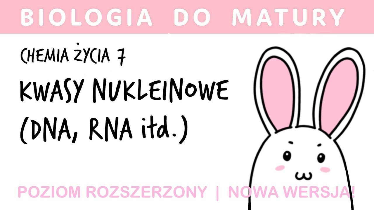 Chemia życia 7 🧪 Kwasy nukleinowe, DNA i RNA - biologia do matury liceum