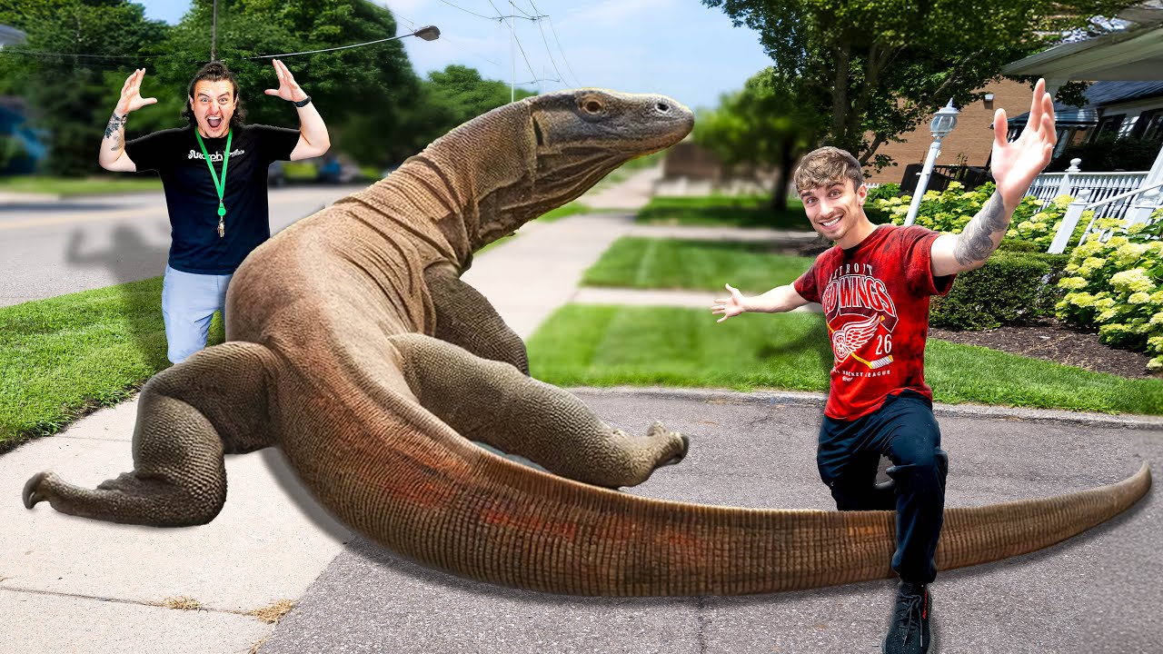 We Bought The World's Most Tame Nile Monitor!