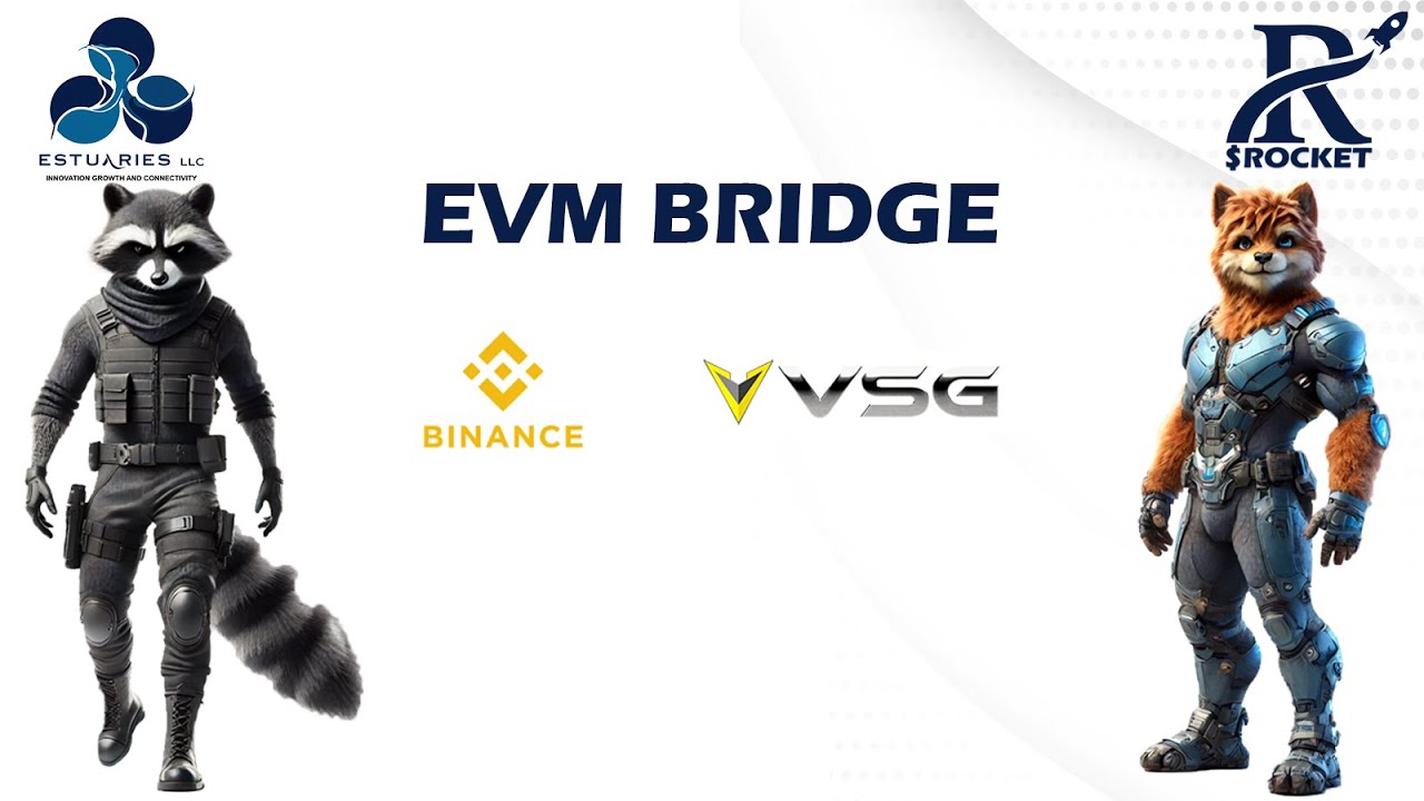 How to Bridge $ROCKET from Binance (BSC) to Vector Smart Chain (VSC)