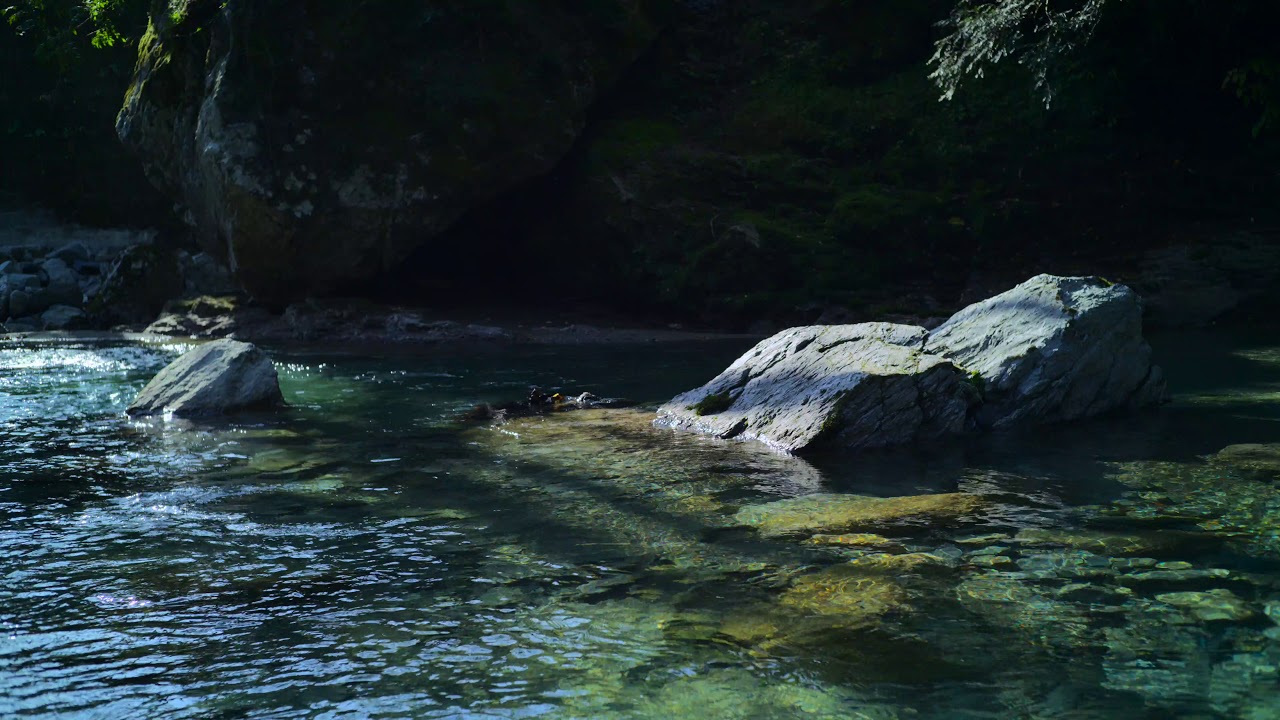 Relaxing Nature Sounds - Gentle River - 三重県櫛田川（MIE, Japan）