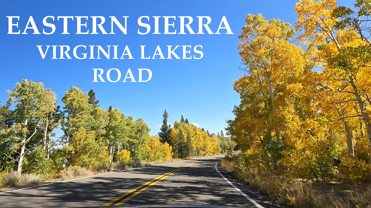 Virginia Lakes Road - Eastern Sierra Drive Series. #easternsierra #fallcolors #california #scenery