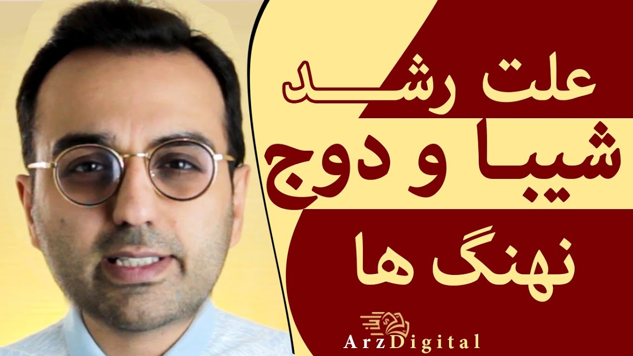 نهنگ های ارز دیجیتال / علت رشد ارز شیبا و ارز دوج کوین