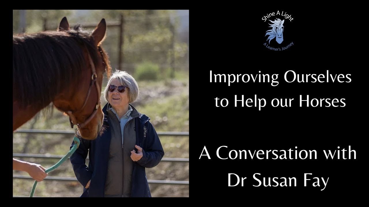 Dr Susan Fay a conversation on Improving ourselves to help our horses