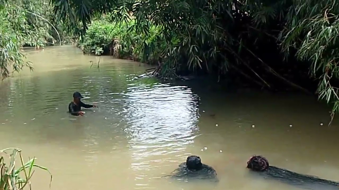 Warga sedang cari ikan di kepung hatu air 