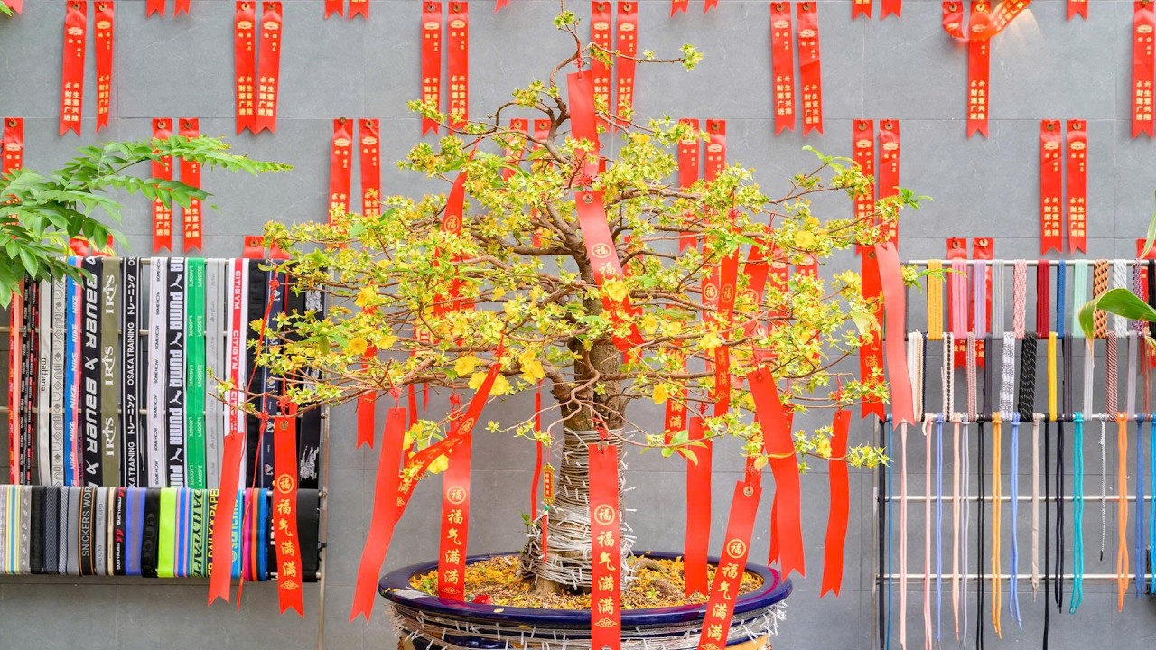 Công Ty Cổ Phần Triều Vĩ  - Tân Gia Cát Khánh, Tân Niên Hưng Thịnh 2026 - 新居吉慶,新年興盛 . lqpsk168