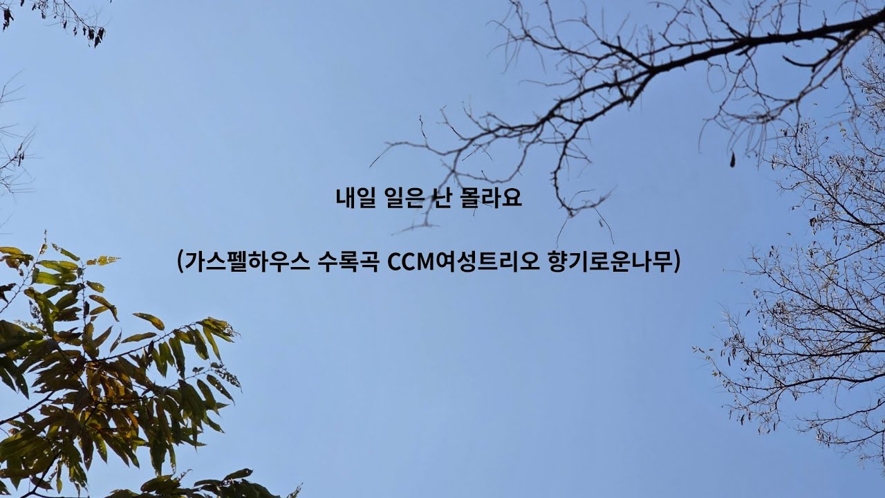 내일 일은 난 몰라요(가스펠하우스 향기로운 나무)