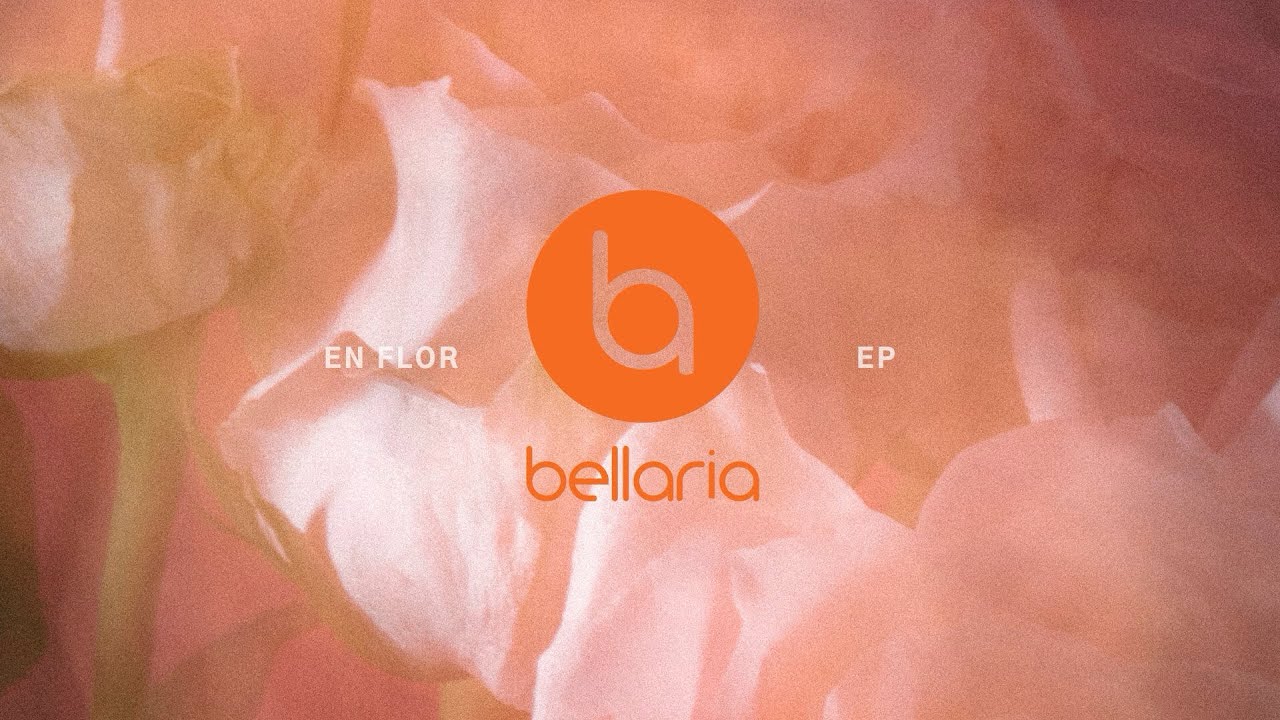 4- Alegr&iacute;a Compartida