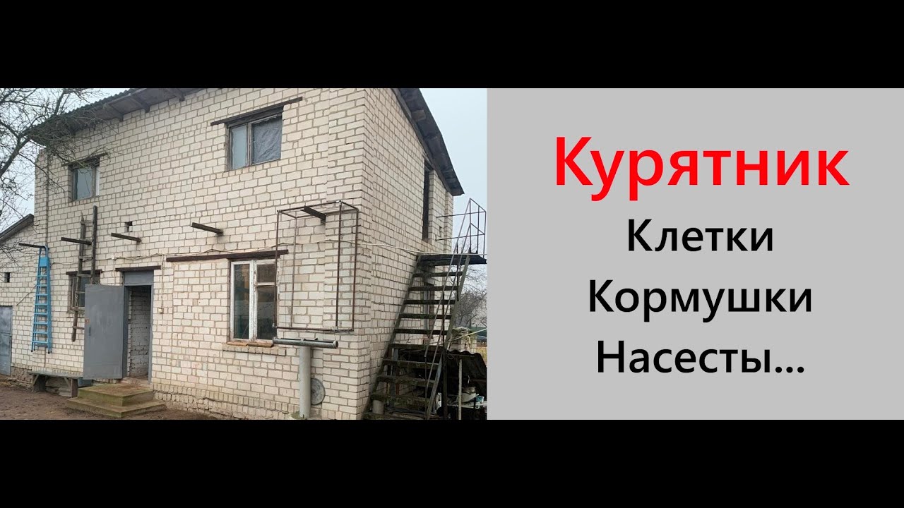 Наш курятник. Содержание  кур напольно и клеточно. Кормушки, поилки, насесты, гнёзда.Плюсы и минусы.