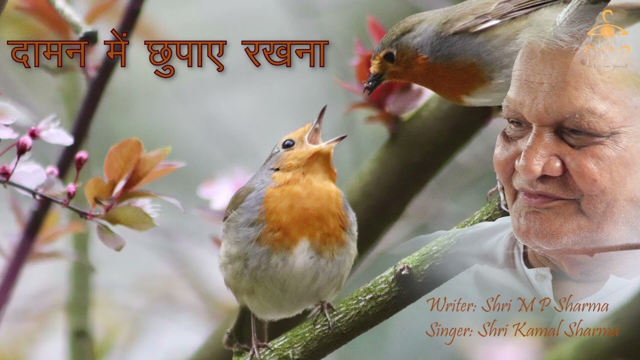 दामन में छुपाए रखना  Daaman may chupaye rakhna Kamal