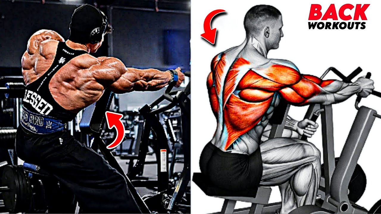 8 Best Back Exercises to Build a Wide, Thick, Powerful Back Fast 🔥